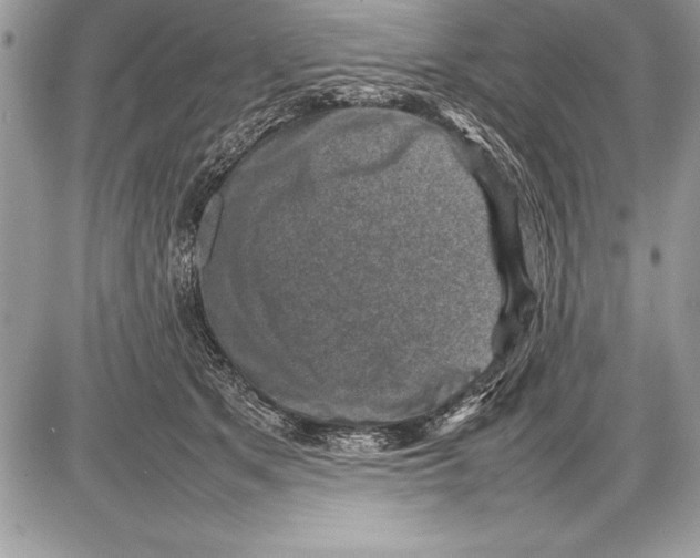 X0000085730513200704131622