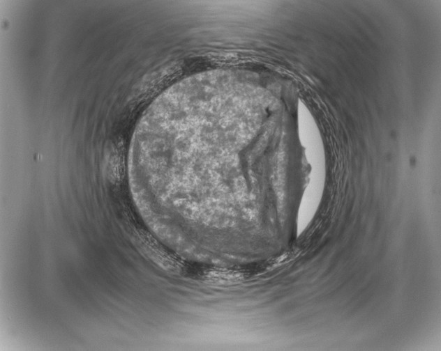 X0000085730515200704131622