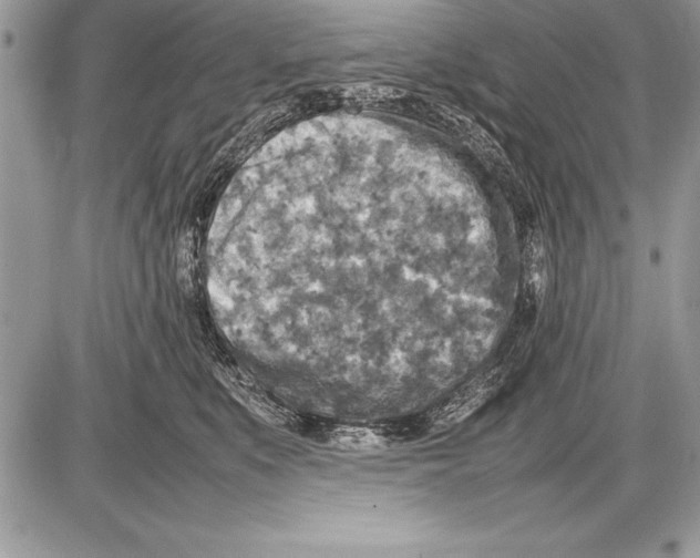 X0000085730519200704131622