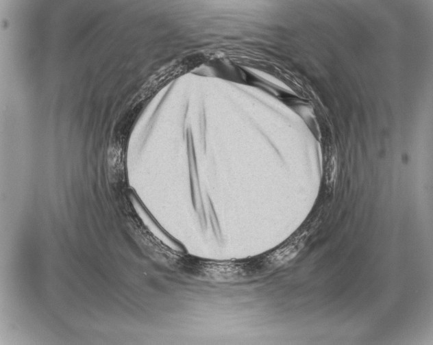 X0000085730521200704131622