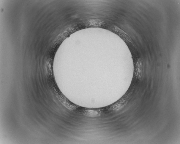 X0000085730522200704131622