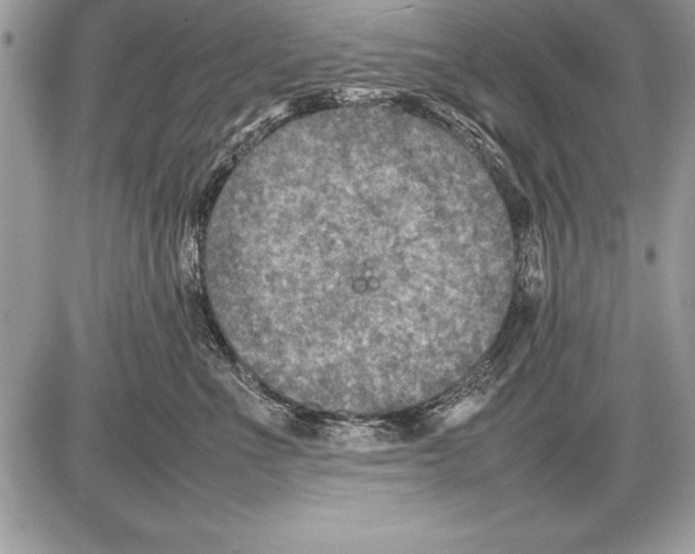 X0000085730523200704131622