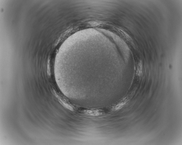 X0000085730524200704131622