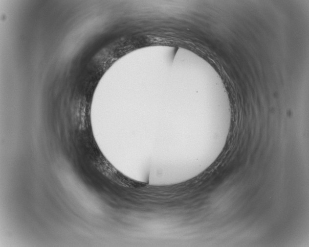 X0000085730525200704131622