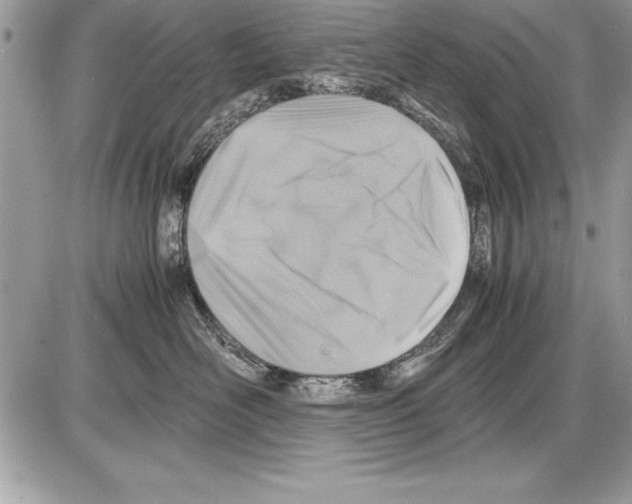 X0000085730526200704131622