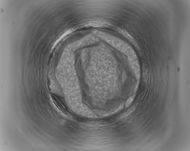 X0000085730530200704131621