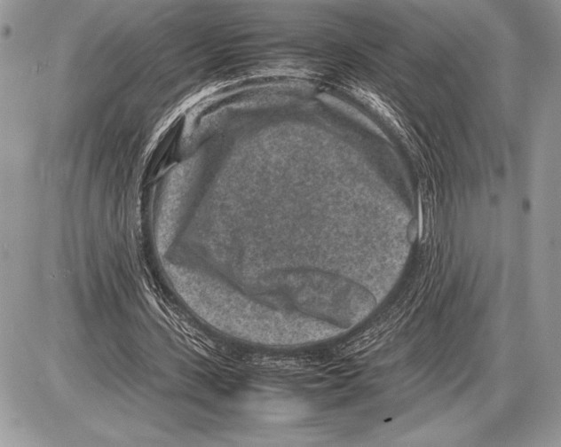 X0000085730531200704131621