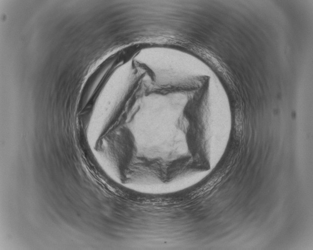 X0000085730532200704131621