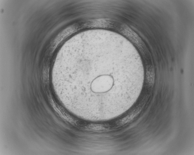 X0000085730534200704131621