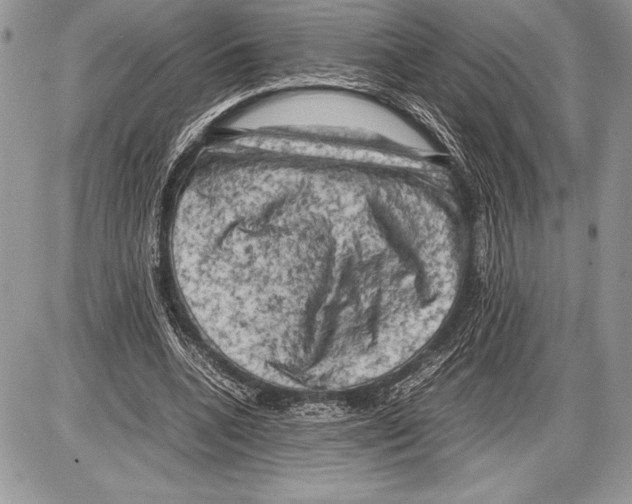 X0000085730536200704131621