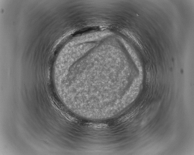 X0000085730539200704131622