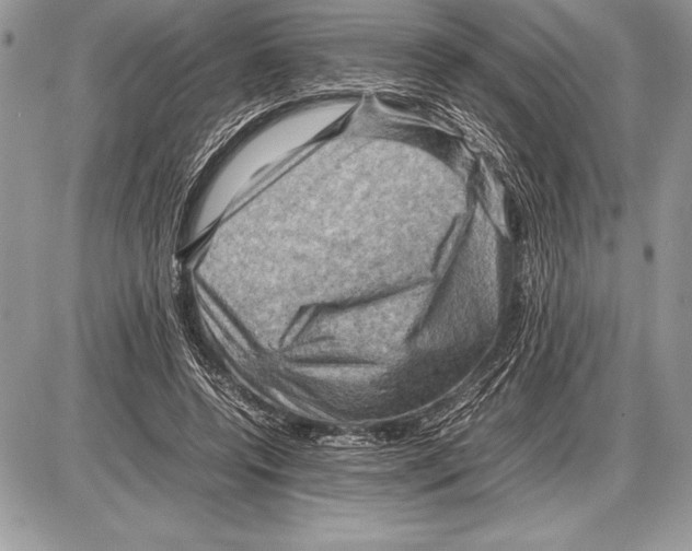 X0000085730544200704131622