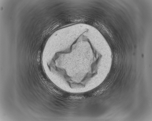 X0000085730545200704131622