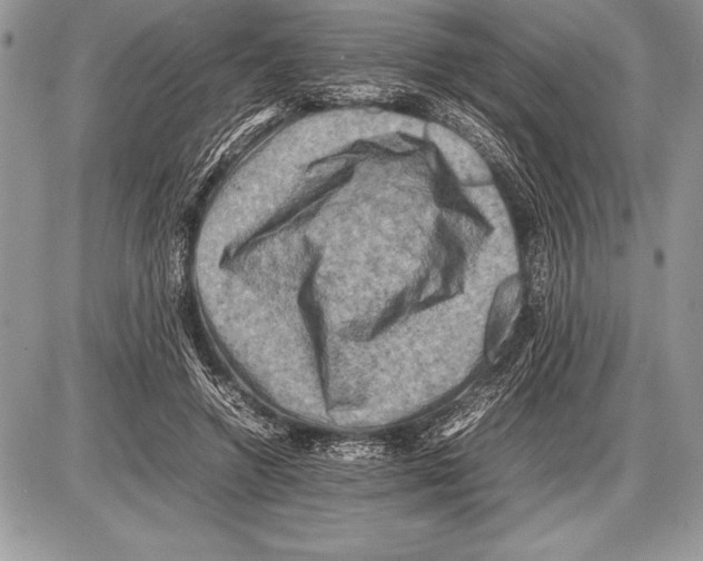 X0000085730546200704131622