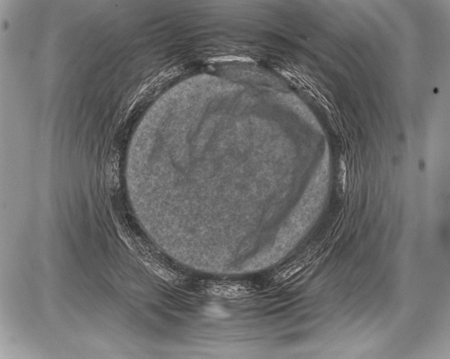 X0000085730547200704131622