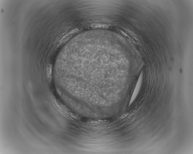 X0000085730550200704131622