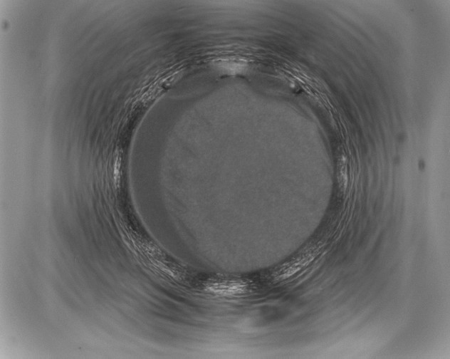 X0000085730551200704131622