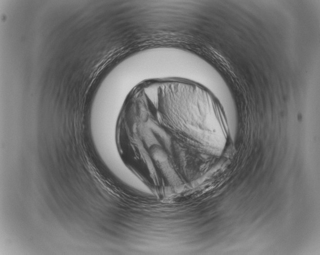 X0000085730552200704131622