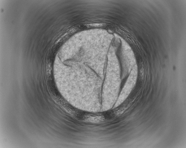 X0000085730555200704131622