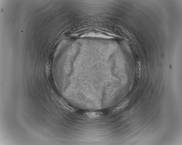 X0000085730558200704131622