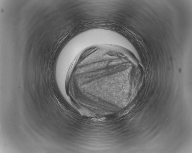 X0000085730560200704131622