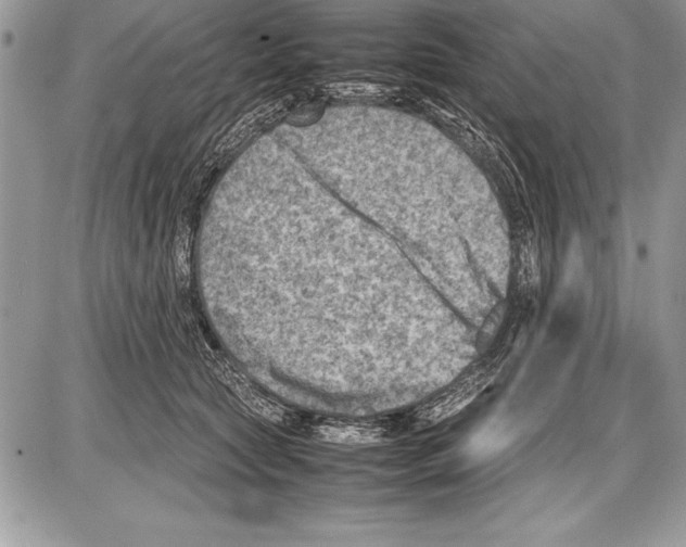 X0000085730561200704131622