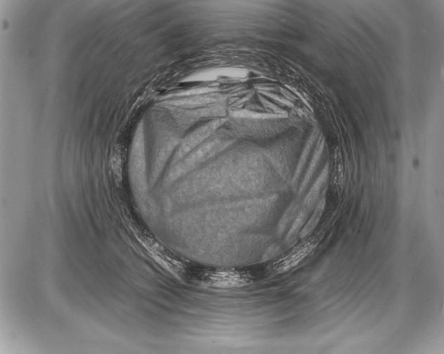 X0000085730562200704131622