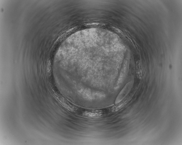 X0000085730563200704131622