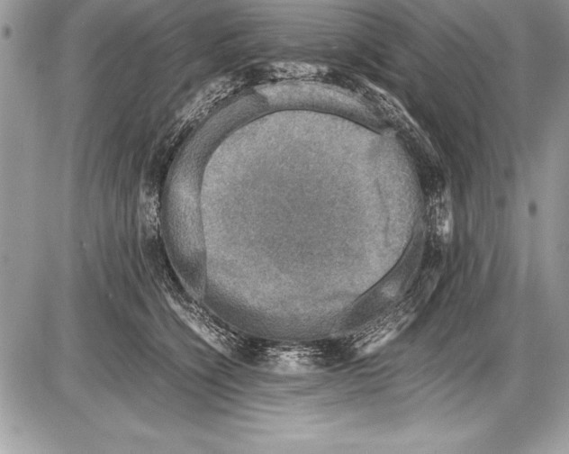 X0000085730564200704131622