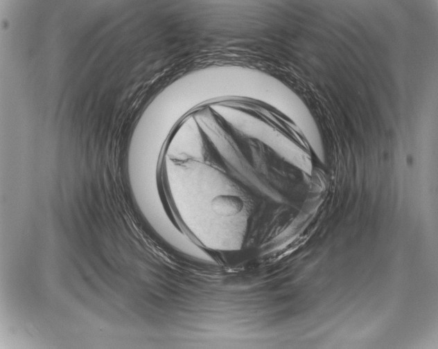 X0000085730566200704131622