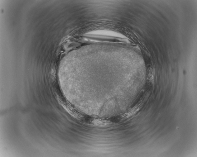 X0000085730568200704131622