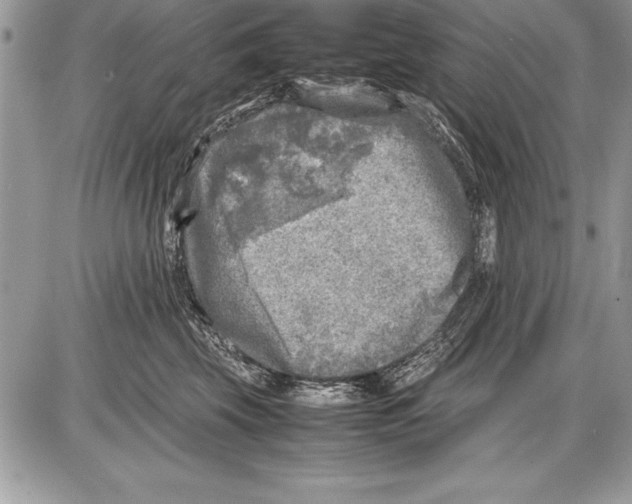 X0000085730569200704131622