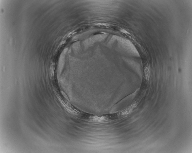 X0000085730570200704131622