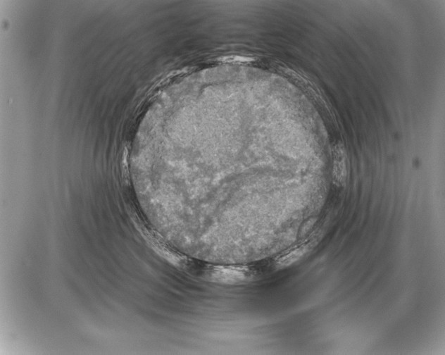 X0000085730573200704131622