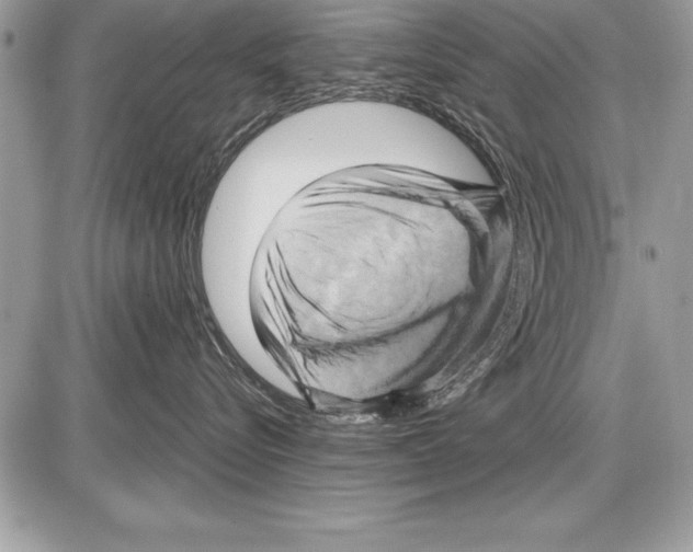 X0000085730576200704131622