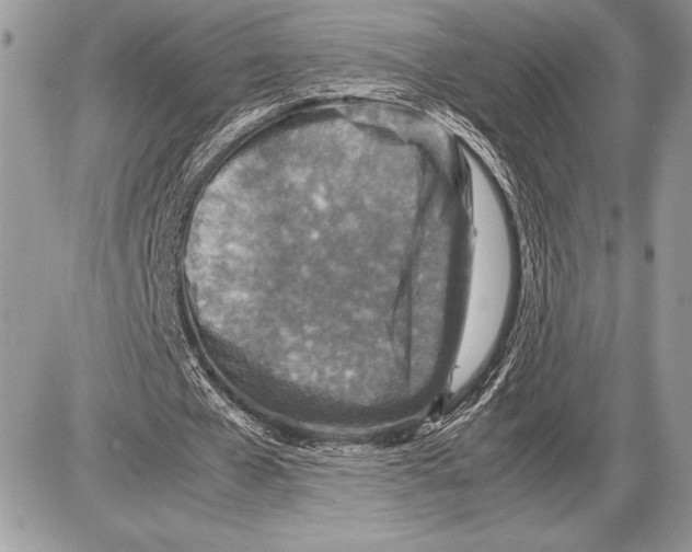 X0000085730577200704131621