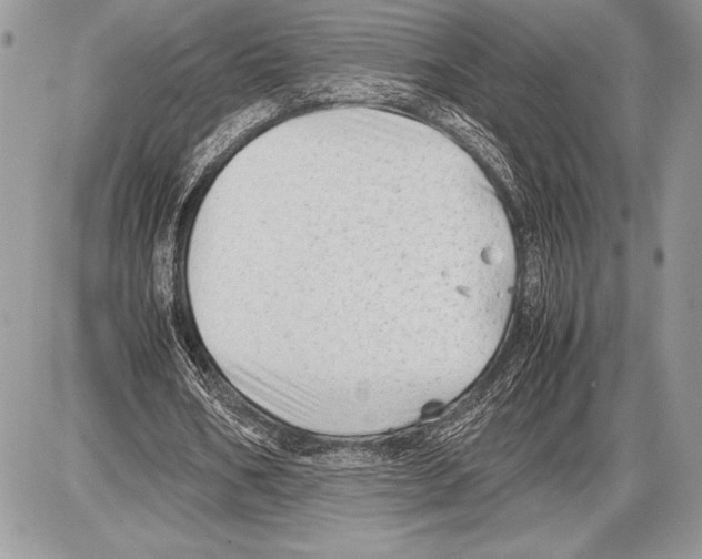 X0000085730578200704131621