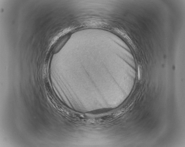 X0000085730579200704131621