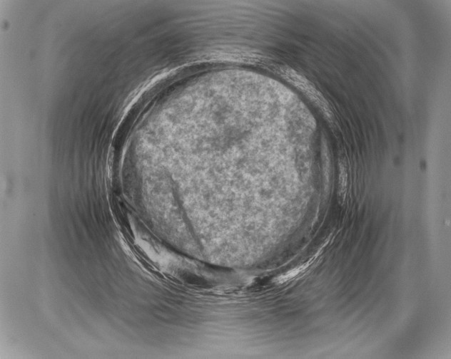 X0000085730580200704131621