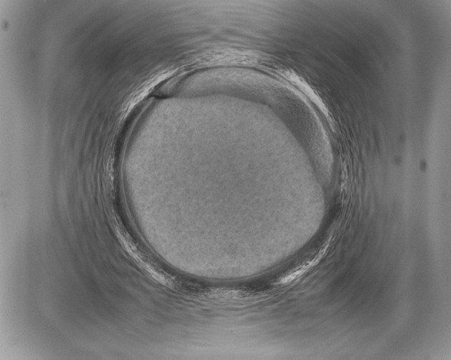 X0000085730581200704131621