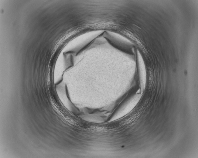 X0000085730582200704131621