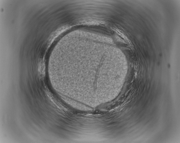 X0000085730584200704131621