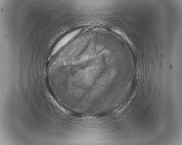 X0000085730585200704131621