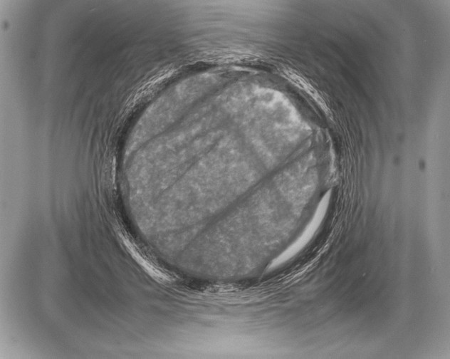 X0000085730589200704131621