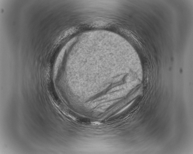 X0000085730591200704131621