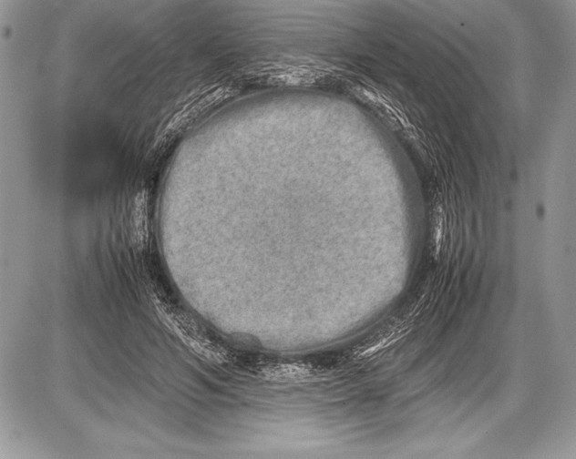 X0000085730594200704131621