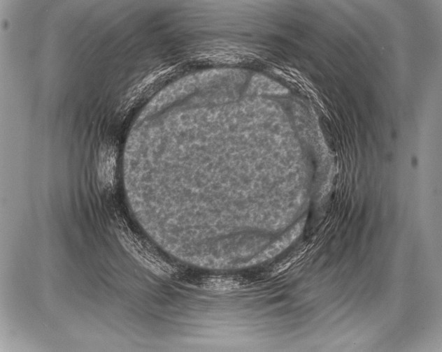 X0000085730596200704131621