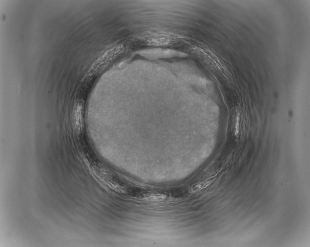 X0000085730598200704131621