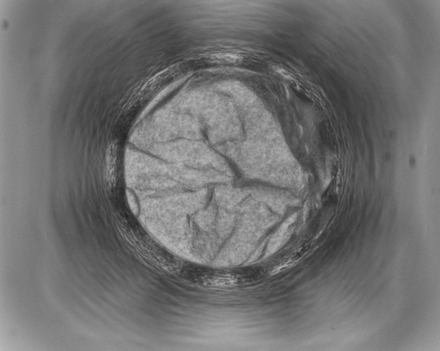 X0000085730600200704131621