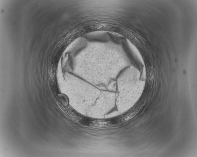 X0000085730607200704131621